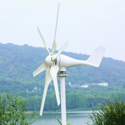 3KW สามารถปรับเปลี่ยนได้ นอกเครือข่าย ทุพยนต์ลมครัวเรือน ระบบพลังงานลมแสงอาทิตย์ ไฮบริดสําหรับบ้าน